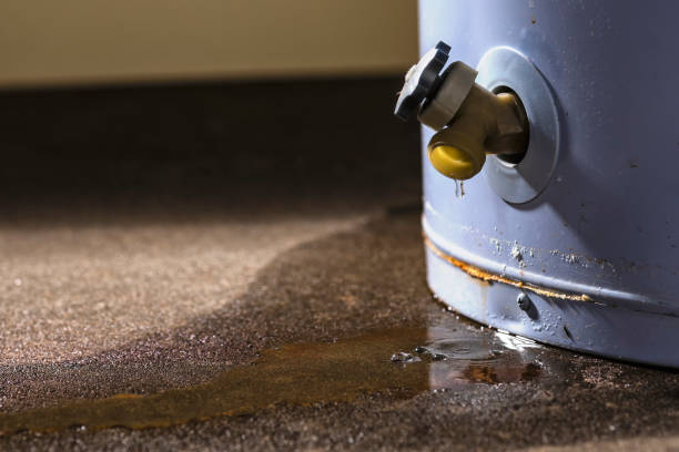 Best Residential water damage restoration  in Mentone, IN