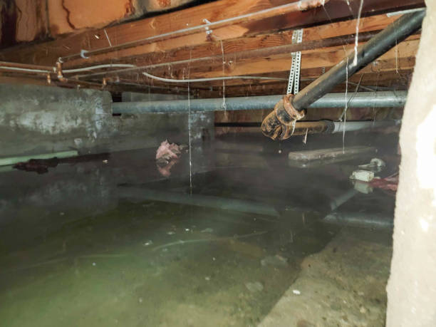 Best Emergency water extraction  in Mentone, IN