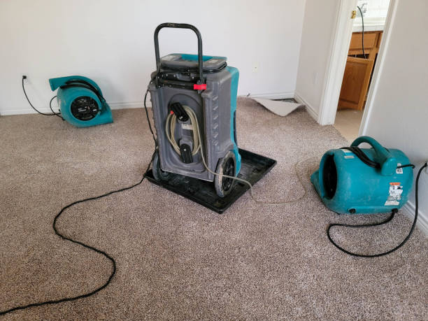Best Water damage restoration process  in Mentone, IN