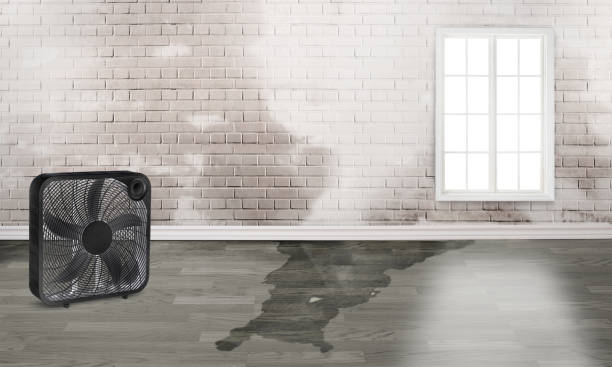 Best Sewage cleanup and water damage restoration  in Mentone, IN