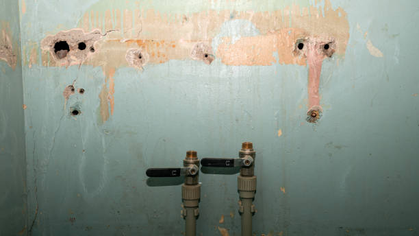 Best Professional water damage repair  in Mentone, IN