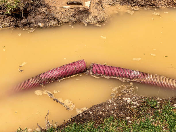 Sewage cleanup and water damage restoration in Mentone, IN