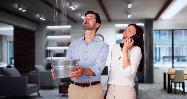 Best Flood damage cleanup  in Mentone, IN